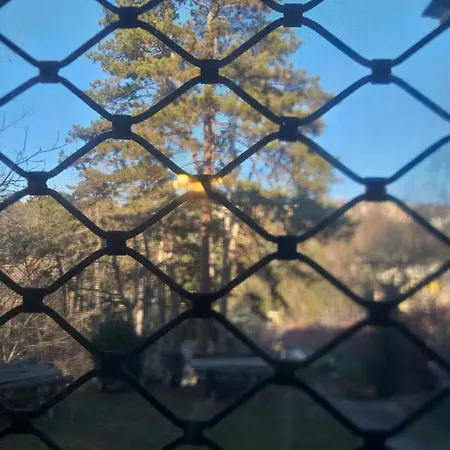 Greenpointluxapartment, Udoban Stan 80m2 U Zelenoj Oazi Appartamento *